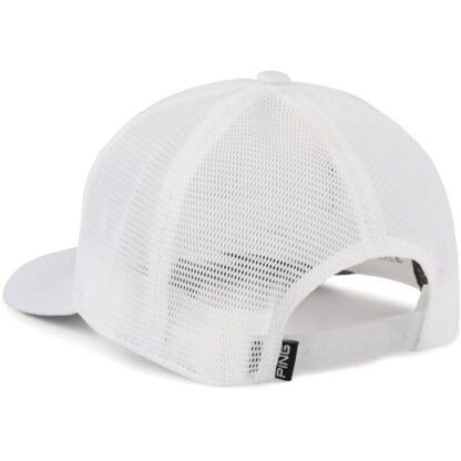 Ping - Gorro Placa Patente Arizona Blanco - Imagen 2