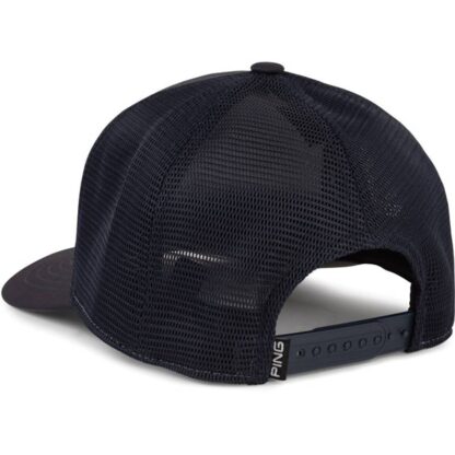 Ping - Gorro Placa Patente Arizona Azul - Imagen 2