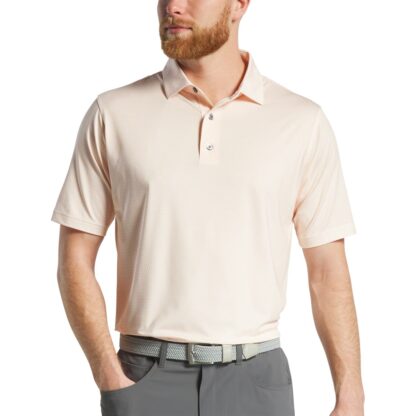 FJ - Polera Skyscraper Lisle - Imagen 2